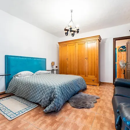 펜션 Palm House Humera