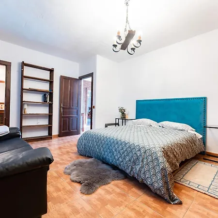 Palm House 펜션 Humera